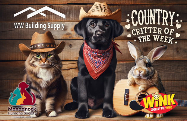 Mark’s Country Critter of the Week